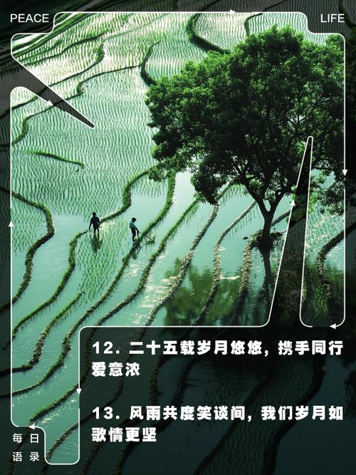 民法典时代婚姻家庭法律全解读