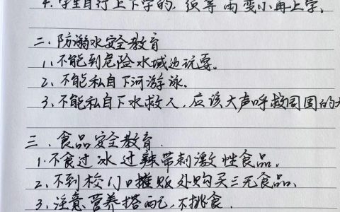 道路交通安全法解读：保障出行安全的法律指南