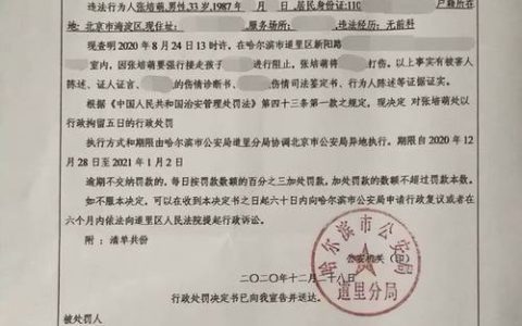 故意打人拘留几天？法律详解与案例分析