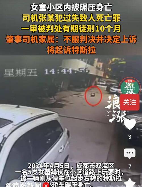 交通事故全责被诉？资深专家教你沉着应对法律程序