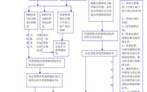 个体工商户登记全攻略：步骤、细节与避坑指南