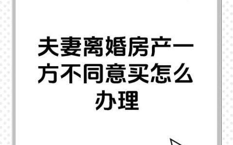 夫妻一方不同意离婚怎么办：法律途径与实务指南