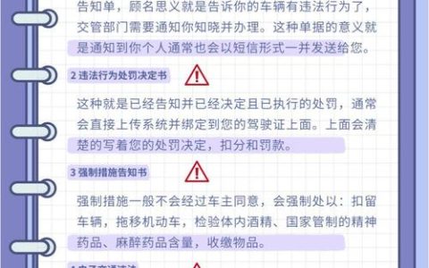 道路交通安全法解读与实践指南