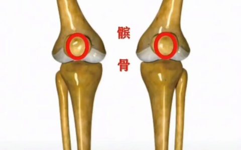 成都工伤赔偿标准与计算方法详解