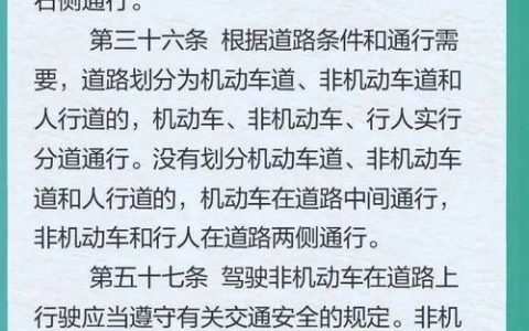 道路交通安全法详解：权益保障与责任划分