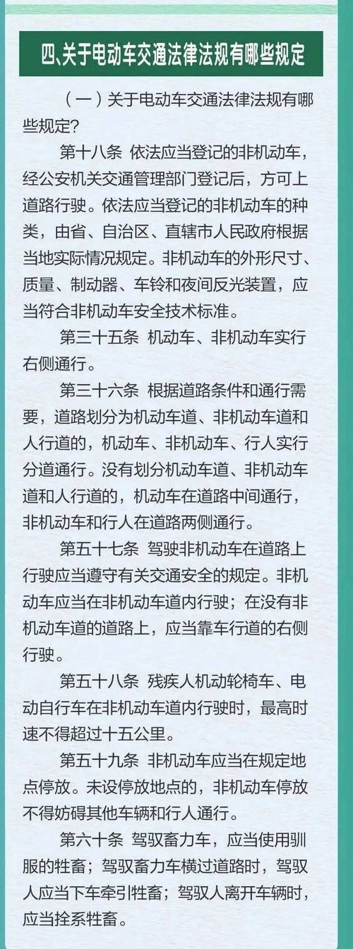 道路交通安全法详解：权益保障与责任划分