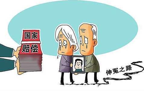 国家赔偿申请指南：类型范围标准与案例深度解析