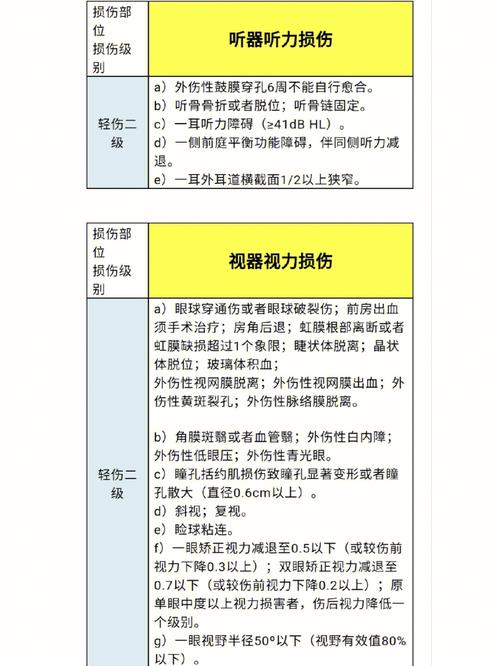 人体损伤鉴定标准详解：重伤、轻伤与轻微伤