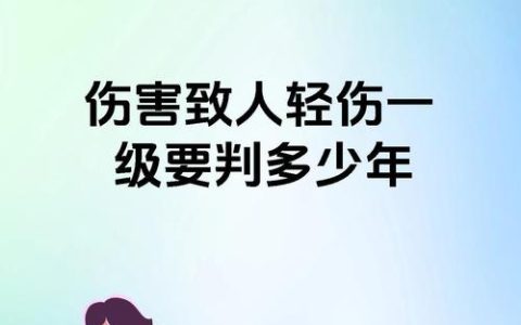 故意伤害致轻伤一级量刑标准全解析