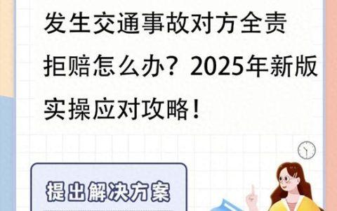 交通事故全责被起诉，应对策略全解析