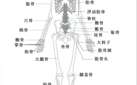 工伤评级结果要等多久？权威解读全流程时限
