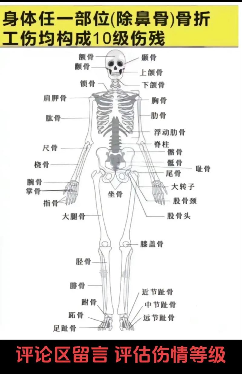 工伤评级结果要等多久？权威解读全流程时限