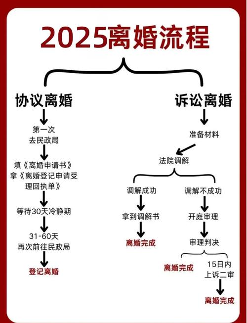 资深律师解读最新离婚规定与权益保护全攻略