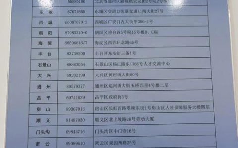 劳动仲裁不止是电话:申请流程与维权指南