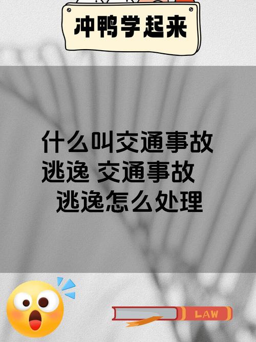 肇事逃逸司机消失，车主需要承担赔偿责任吗？