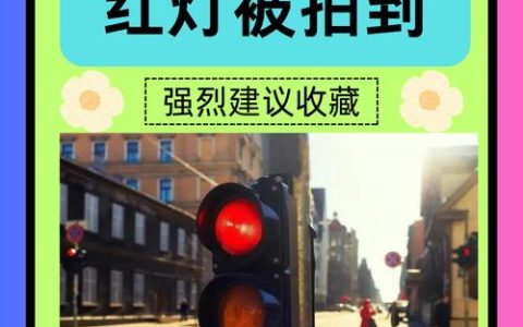 开车疑闯红灯心慌？权威指南教你快速查证