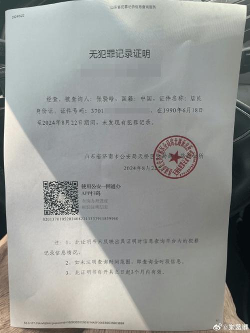 入职审查新规：单位查询犯罪记录的边界与须知