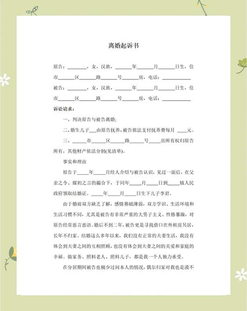 女方如何写好离婚起诉书：关键要点与实用建议