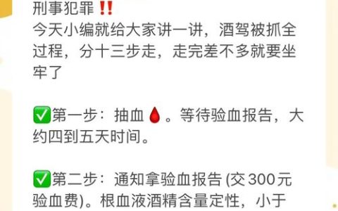 醉驾案件全流程指引：从被查到结案要多久？
