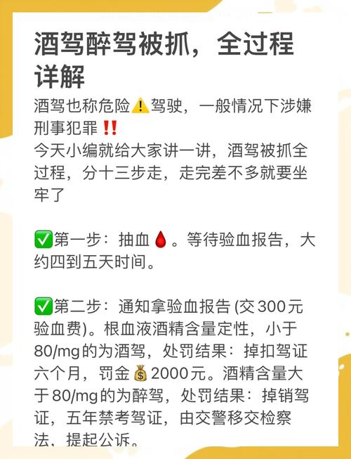 醉驾案件全流程指引：从被查到结案要多久？