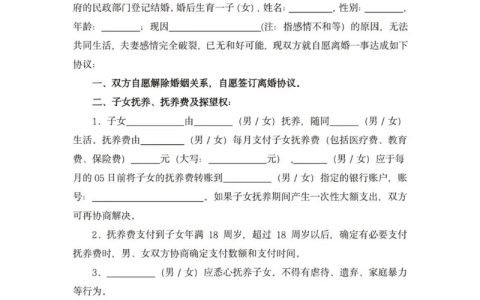 离婚协议书怎么写？资深专家详解关键条款与避坑指南