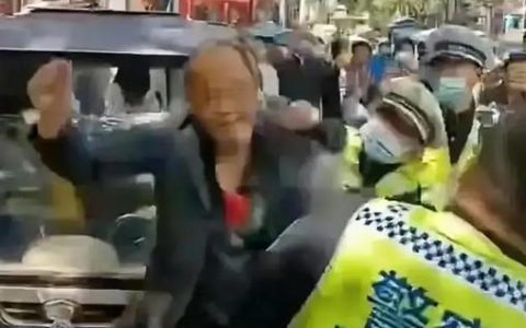 轻视二十元交通罚款？这些连锁反应需警惕
