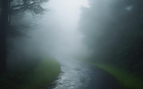 信用卡债务缠身莫慌张，专家支招合规应对策略