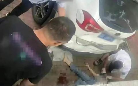 交通事故致人死亡：一定会坐牢吗？赔偿与责任深度解析
