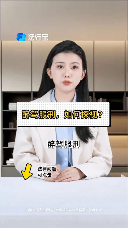 亲人涉醉驾被拘留？看守所和拘留所探视指南