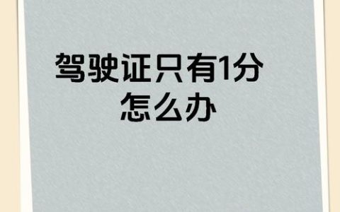 驾照仅剩一分心慌慌？资深律师教你如何从容应对
