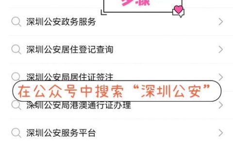 无犯罪记录证明申请全攻略：流程材料与常见问题解析