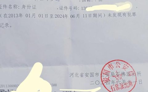 伪造无犯罪记录证明？法律红线触碰不得！
