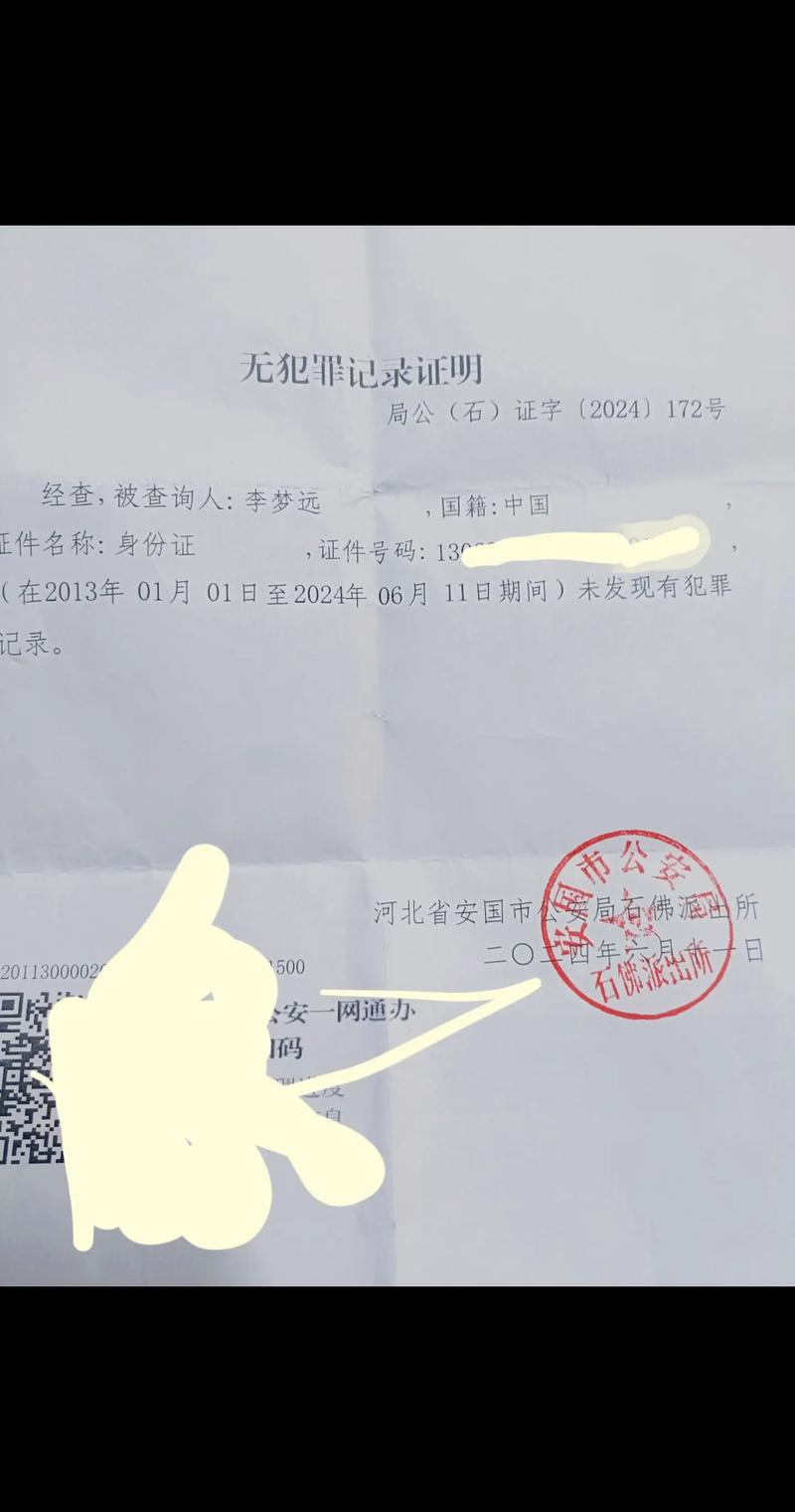 伪造无犯罪记录证明？法律红线触碰不得！
