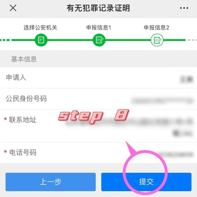个人犯罪记录网上查询指南与隐私保护要点