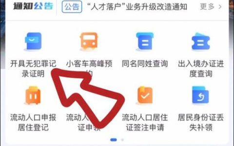 一网通办无犯罪证明：申请时间与快速办理指南