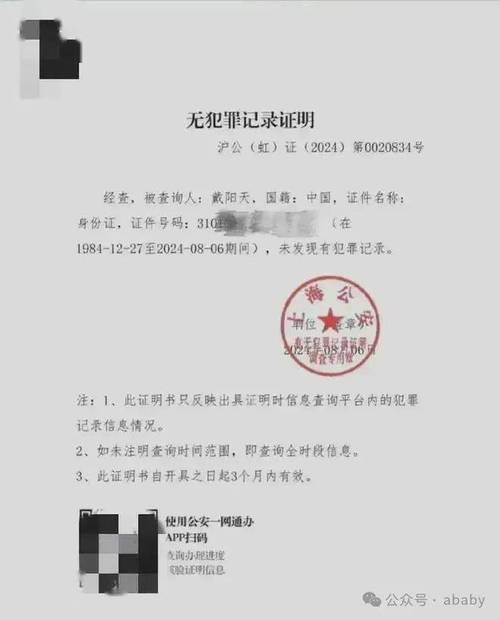权威解读：个人无犯罪记录证明申请流程与必备指南