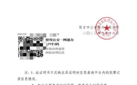 无犯罪记录证明：从申请到避坑的实战指南