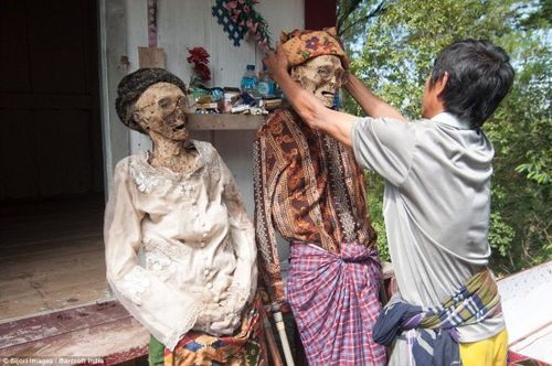 开车撞人致死就一定坐牢吗？资深律师为你讲透关键