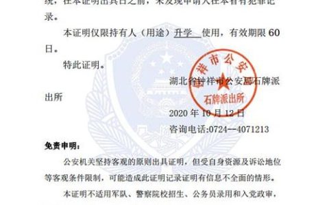 个人无犯罪记录证明在线申办全攻略