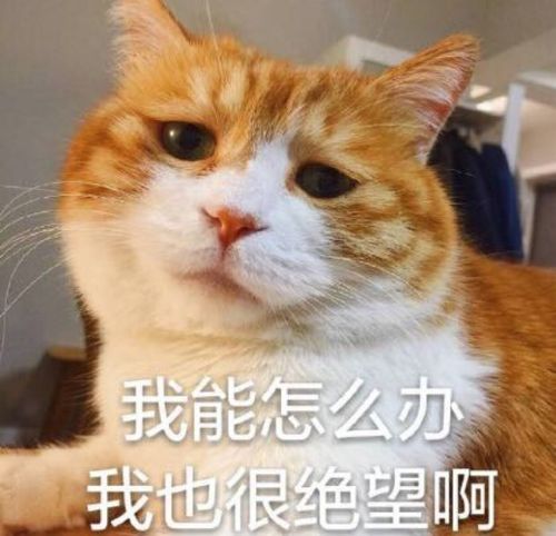 个人欠款无力偿还？资深律师详解应对之道
