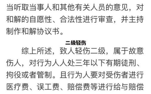 故意伤害致轻伤二级，判刑关键因素深度解析