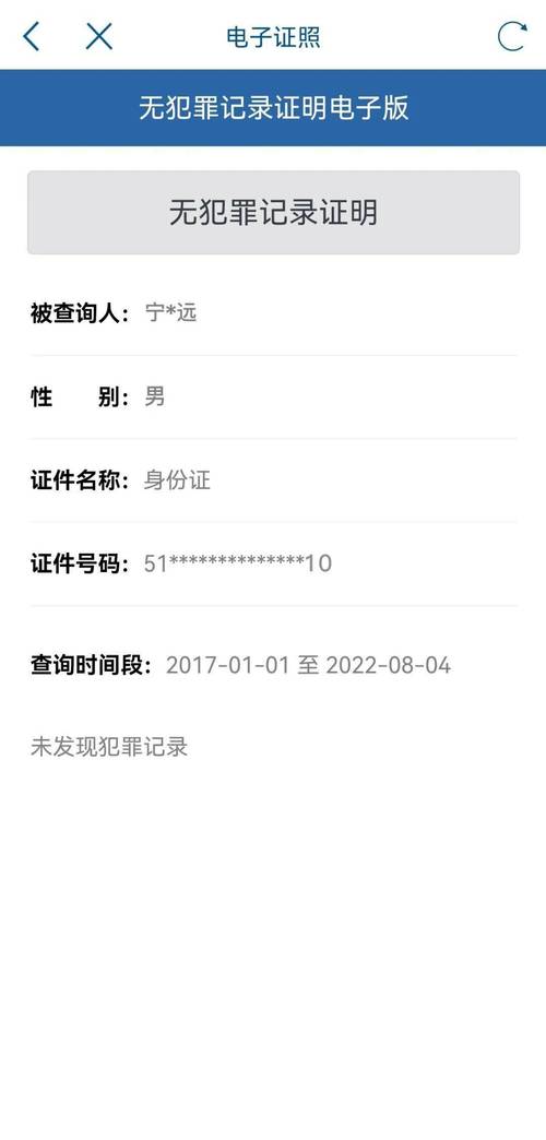 个人犯罪记录网上查询：合法途径与误区解析
