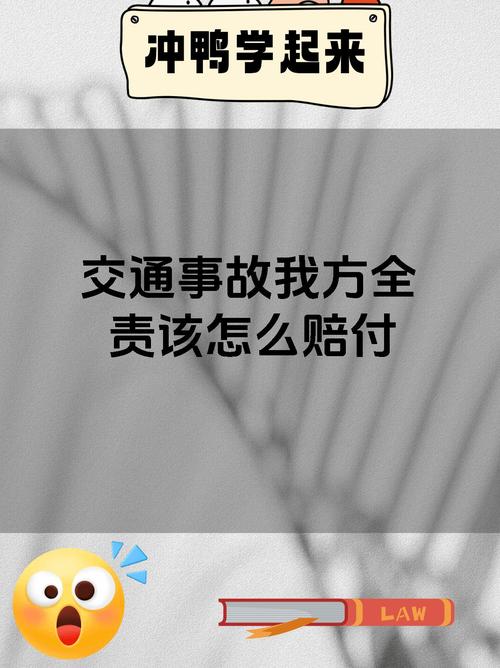 交通事故全责怎么办？对方索赔项目与应对指南