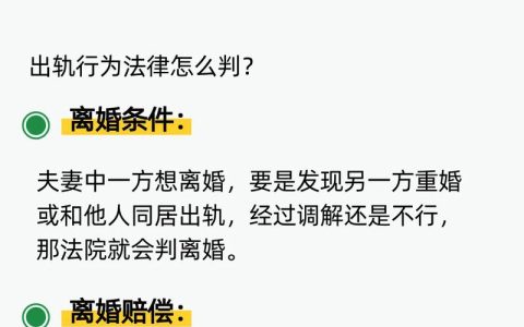 伴侣婚内与他人同居？法律红线及应对策略