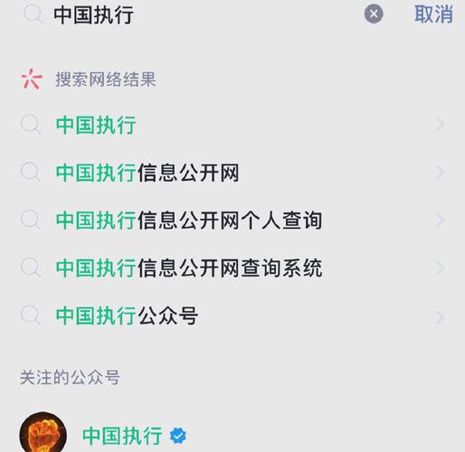 个人案件信息查询权威指南：步骤与释疑
