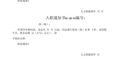 入职必备证明材料全解析：避坑指南