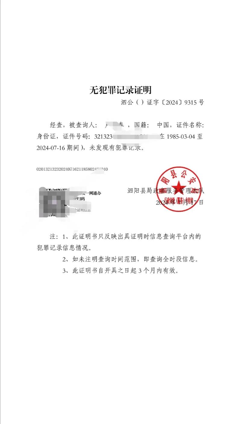 一纸清白：无犯罪记录证明的申办与解读