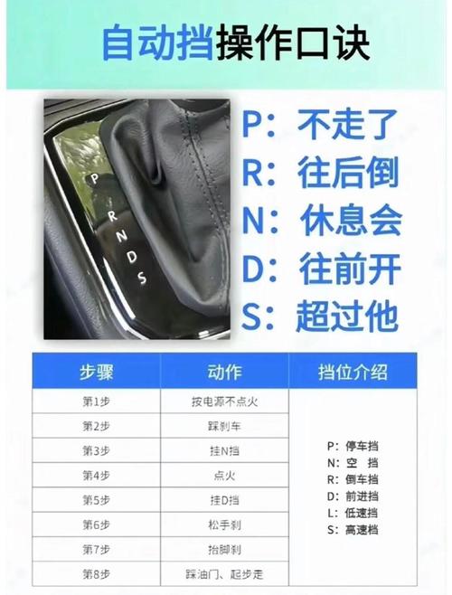 女生选驾照：C1还是C2？全面解析助你轻松抉择