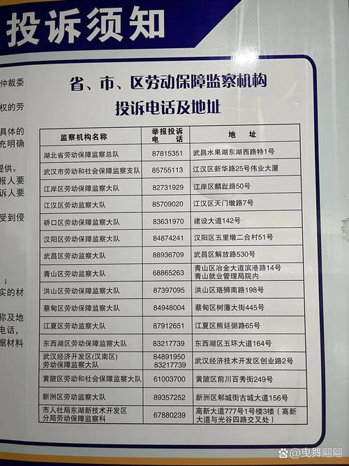 劳动纠纷不用慌，维权热线与仲裁步骤详解