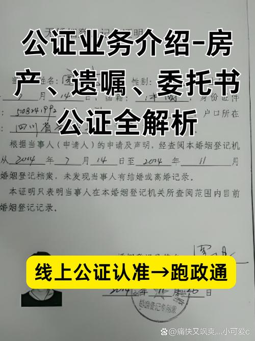 遗嘱公证全流程解析与法律效力解读